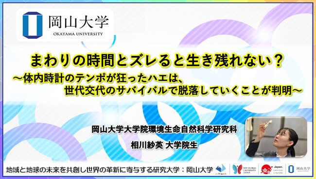 【岡山大学】まわりの時間とズレると生き残れない？～体内時計のテンポが狂ったハエは、世代交代のサバイバルで脱落していくことが判明～
