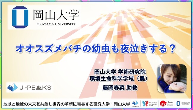 オオスズメバチの幼虫も夜泣きする?〔岡山大学, 神戸大学〕