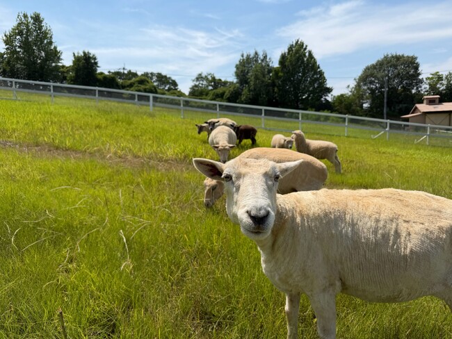 「動物たちのため」のリニューアル【ハーベストの丘】