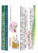2枚目 生物学的・脳科学的に見た立腰教育の根拠 2枚目 生物学的・脳科学的に見た立腰教育の根拠