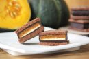 GAKUチョコレートサンド~信州かぼちゃ~ GAKUチョコレートサンド~信州かぼちゃ~