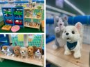 癒し動物園 癒し動物園