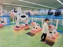 牧場コーナー 牧場コーナー
