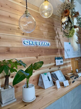 東京都北区東十条に“そのまま飾れる”観葉植物を提供する、無人の観葉植物ショップ（ONE PLANTS）が9/26（土）にNEWオープン！
