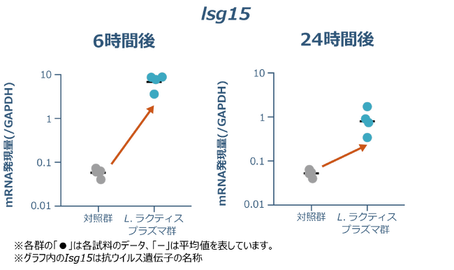「L.ラクティス プラズマ」の経鼻接種により上気道における抗ウイルス自然免疫記憶の形成を確認　呼吸器ウイルス感染症に対する新たなワクチン開発への応用に期待