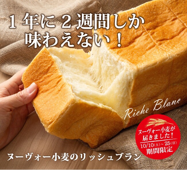 【サンジェルマン】採れたての「新麦」を使用！1年で2週間しか味わえない『ヌーヴォー小麦のリッシュブラン』を10月10日（土）の解禁日より期間限定で発売！