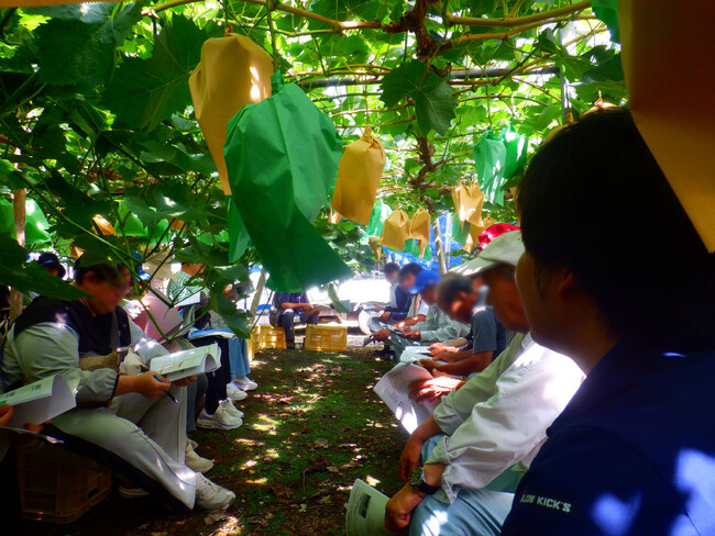 【参加者募集中！】瀬戸内市牛窓露地野菜産地の現地見学会について [岡山県瀬戸内市]