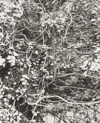 線香で画を描くアーティスト市川孝典、個展「FLEETING DAYS」の開催が決定