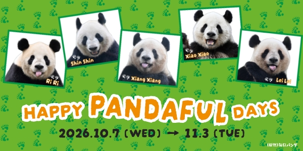 １０／２８は「パンダの日」！写真展から限定グッズまで“推しパンダ”を楽しむ１カ月『ＨＡＰＰＹ ＰＡＮＤＡＦＵＬ ＤＡＹＳ』