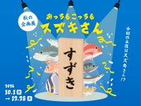 【京都水族館】海水魚の「スズキ」が主役の初企画展
「あっちもこっちもスズキさん」10月1日（木）スタート