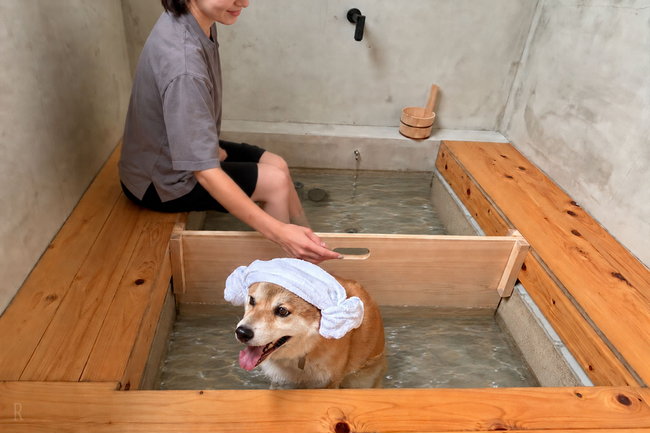 【京都・京丹波】愛犬と楽しめる「わんちゃん専用足湯」が新登場！「DOGVILLA 木都」にて特典付き記念プラン＆早割20％OFFを販売