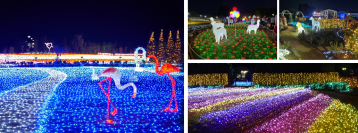 夕方からお得に楽しむ冬の夜！
「ウインターイルミネーション2026-2027」10月24日(土)開幕！