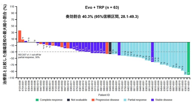 HER2陽性進行胃・食道接合部腺がんに対するエボルパセプト＋トラスツズマブ＋ラムシルマブ＋パクリタキセル併用療法が有効な可能性