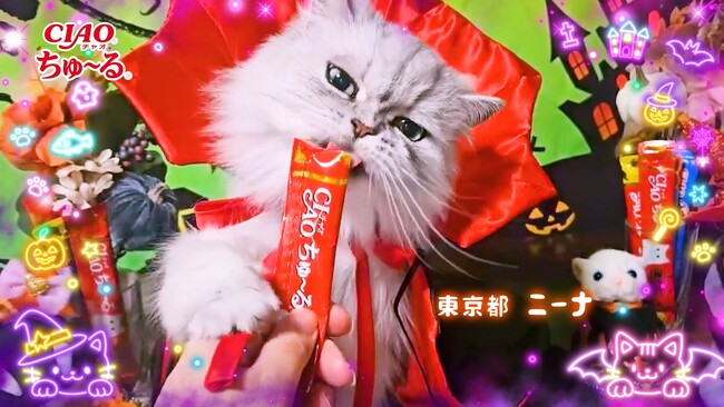いなばペットフード　可愛い仮装の猫ちゃんたちが大集合！「CIAOちゅ～る」2026年ハロウィンTVCM第1弾を公開