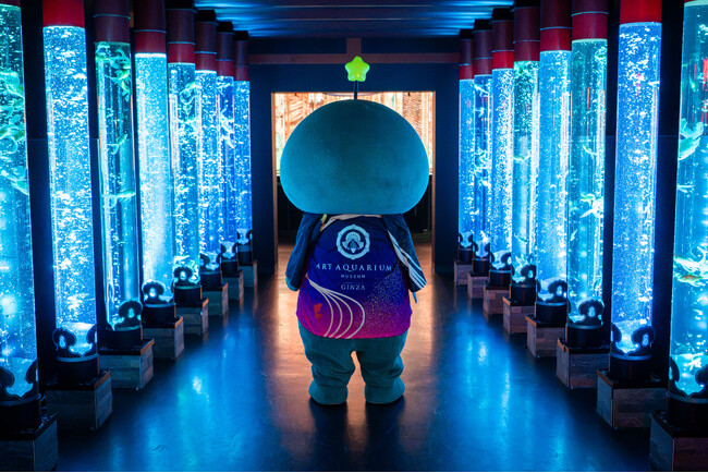 「教育番組」タマ、アルバイト採用！ アートアクアリウム美術館で金魚たちのお世話のお仕事
