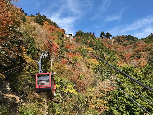高低差763m、山麓から山頂へ広がる秋の絶景 身延山ロープウェイ、10月下旬から紅葉の見頃へ 山梨・静岡・長野県民限定「紅葉キャンペーン」 2026年10月10日（土）～11月23日（月・祝）まで開催