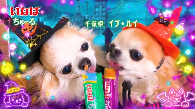 いなばペットフード　ハロウィン仮装のわんちゃんたちが大活躍！「Wanちゅ～る」2026年ハロウィンTVCM第1弾を公開
