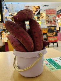【千葉・幕張パーキングエリア上り線】芋！イモ！！IMO！！！「千葉いも」づくしフェアを開催！～秋はやっぱり、さつまいも！積んで、楽しんで、食べて、買って芋が主役の寄り道イベント～