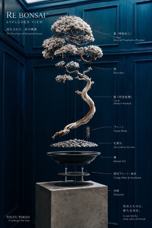 時を凌駕する盆栽の再定義、アップサイクル“RE BONSAI(TM)”アートプロジェクトの〈TOUFU TOKYO〉が初のニュウマン高輪でのポップアップを10/6（火）～26（月）まで開催！