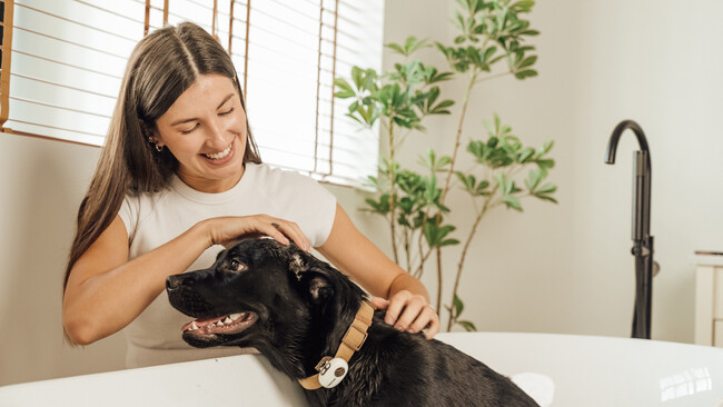 犬・猫の鳴き声は、AIでどう「翻訳」される？PettiChat、Makuake公開10時間で100万円突破