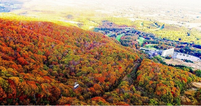 早朝・紅葉・星空の各時間帯で異なる景観を体験　雫石プリンスホテルが提供する絶景滞在【雫石プリンスホテル・雫石スキー場】