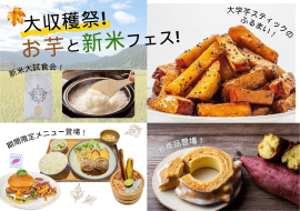 「大収穫祭!お芋と新米フェス!」 「大収穫祭!お芋と新米フェス!」