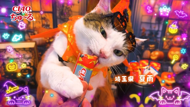 いなばペットフード　仮装姿の猫ちゃんたちが彩る「CIAOちゅ～る」2026年ハロウィンTVCM第2弾を公開！