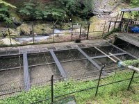 京王電鉄が奥多摩町「日原渓流釣場」の指定管理者に選定　２０２７年４月の指定管理開始に向け、１０月１日に協定を締結！