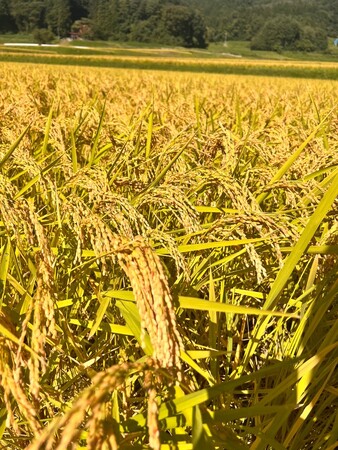 飯綱町の小学生が、給食を通じて地域の「つくる人」と出会う