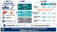 【横浜市立大学】代謝機能障害関連脂肪性肝疾患（MASLD）でペマフィブラートの肝障害指標改善を確認