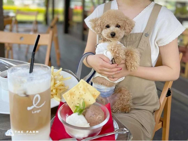 ワンちゃんmenuが全品半額に！11月1日「犬の日」から、千葉・香取のTHE FARM カフェで期間限定「わんわんウィーク」