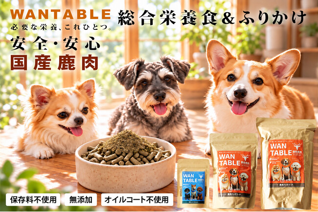 なぜ、アパレルブランドがドッグフードを？antiquaが「WANTABLE」で提案する、人と愛犬が囲むひとつの食卓
