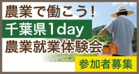 千葉県1day農業就業体験会 千葉県1day農業就業体験会