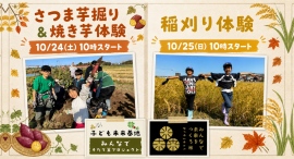 収穫の秋、そのまま、まちの食堂の食卓へ。10月24日(土)芋掘り&焼き芋体験、10月25日(日)稲刈りを開催 収穫の秋、そのまま、まちの食堂の食卓へ。10月24日(土)芋掘り&焼き芋体験、10月25日(日)稲刈りを開催