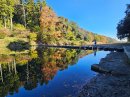 飛び石周辺水面に映る紅葉 飛び石周辺水面に映る紅葉