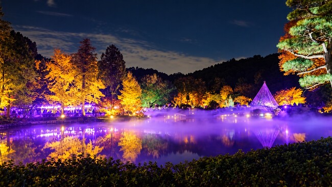【東京都町田市】紅葉のライトアップと雲海が織りなす幻想風景。光に彩られる秋の薬師池公園へ。