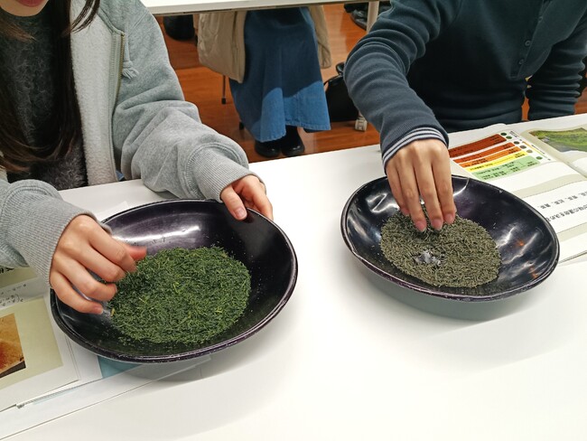 佐賀大学芸術地域デザイン学部による「うれしの茶新商品ブランディング」の一次審査会を佐賀大学にて開催します！