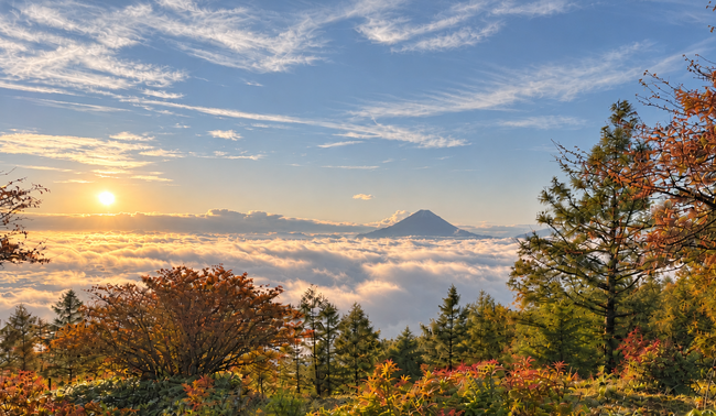 【山梨・甘利山】富士山と雲海、秋色の絶景へ。JR韮崎駅発「甘利山タクシー2026秋便」運行中!