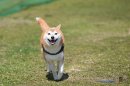 この笑顔の先にゴールがある この笑顔の先にゴールがある
