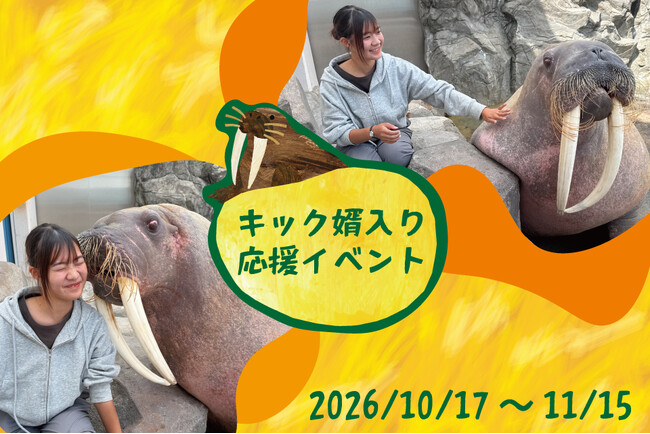 【南知多ビーチランド】セイウチ「キック」の門出を祝う特別応援イベント開催！10月17日(土)から＜愛知＞