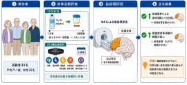 研究の概要 研究の概要