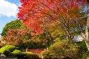 秋の庭園イメージ 秋の庭園イメージ