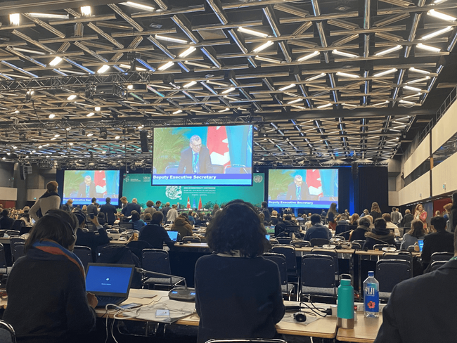 シンク・ネイチャー、国連生物多様性条約第17回締約国会議（CBD COP17）に専門家を派遣、現地参加者向けブリーフィングを実施