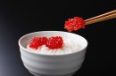 すじこがあれば、それで満足 すじこがあれば、それで満足