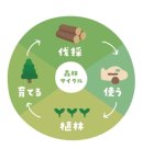 森林サイクルイメージ 森林サイクルイメージ