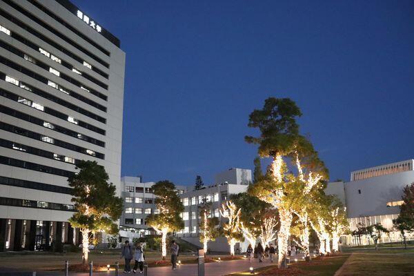 【福岡大学】キャンパスを彩るイルミネーションが点灯します（10/30～）
