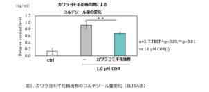カワラヨモギ花抽出物がストレスによる真皮機能の低下を抑制
コルチゾール不活化を通じた肌のハリ・弾性回復への可能性を確認
「日本生薬学会第72回年会」にて、研究成果をポスター発表