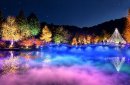 薬師雲海&紅葉ライトアップ(写真はイメージです) 薬師雲海&紅葉ライトアップ(写真はイメージです)