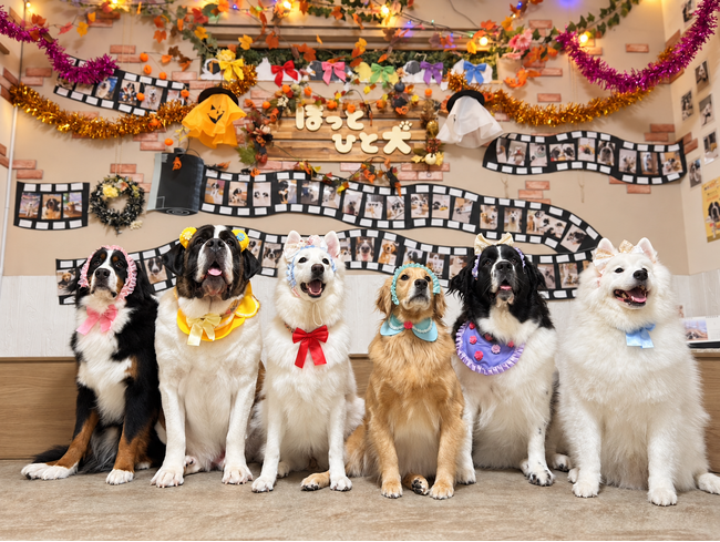 大型犬カフェ ほっとひと犬 2周年イベント開催。参加者20名へのアンケートで「ストレスや疲れが和らいだ」肯定的回答100%