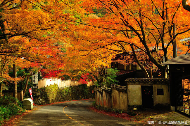 The Ryokan Tokyo YUGAWARA、湯河原の紅葉シーズンに合わせて、秋色クリームソーダの販売やオリジナル紅葉ブックカバーづくり体験などを提供